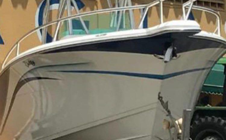 
								BULL MARINE 35 full									