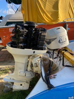 
										MOTOR JOHNSON 200HP full									