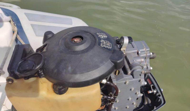 
								DINGHY CARIBE EDICION ESPECIAL 14 full									