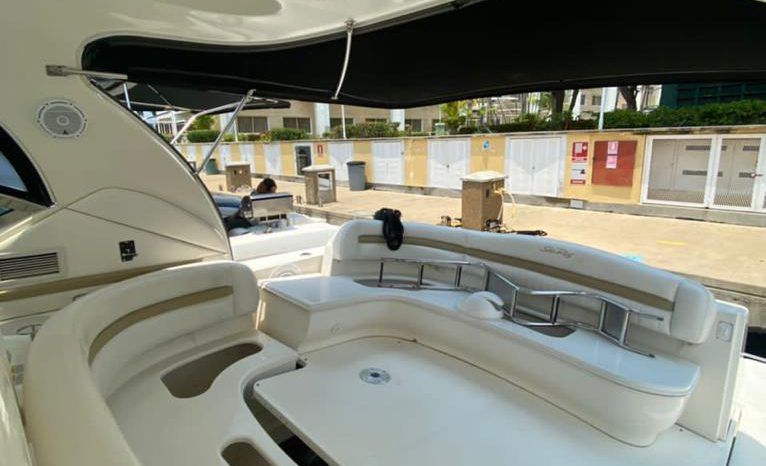 
								SEA RAY SUNDANCER 44 full									