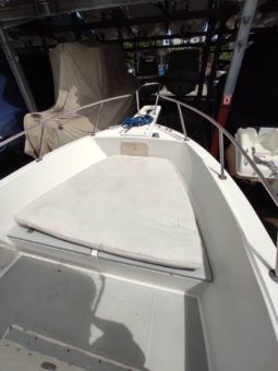 
										ROBALO OPEN 22 full									