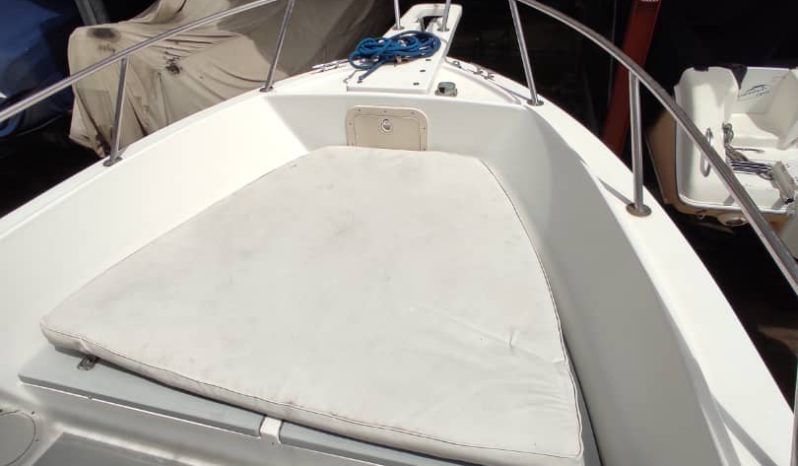 
								ROBALO OPEN 22 full									