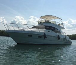 
										SEALINE F42/5 full									
