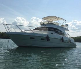 SEALINE F42/5