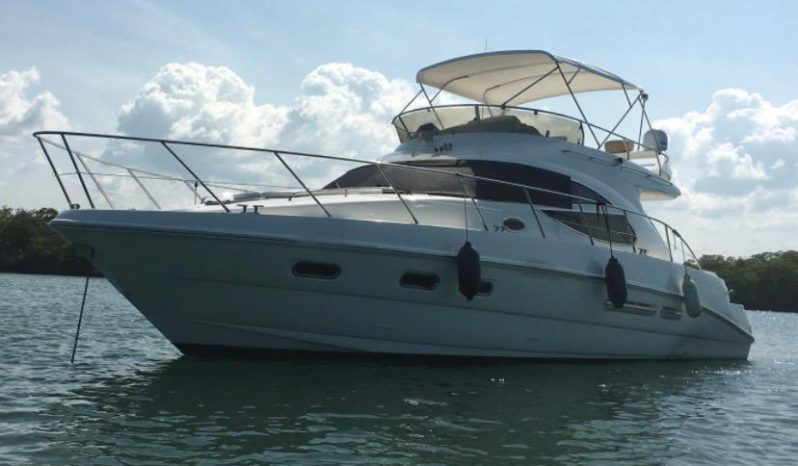 
								SEALINE F42/5 full									