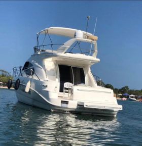 SEALINE F42/5