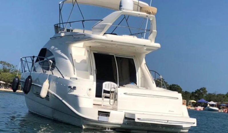 
								SEALINE F42/5 full									