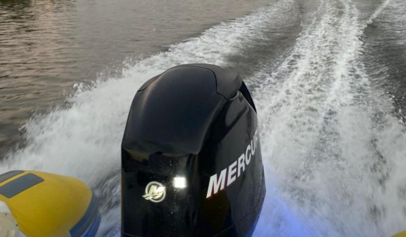 
								DINGHY CARIBE 17 full									