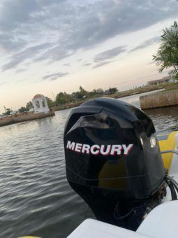 
										DINGHY CARIBE 17 full									