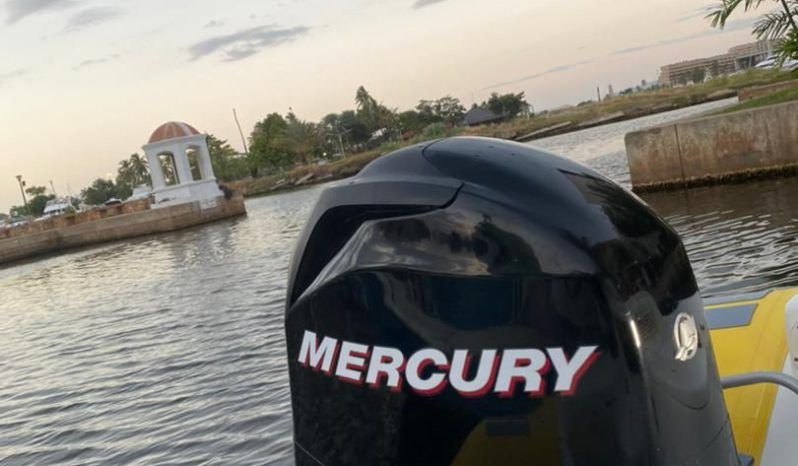 
								DINGHY CARIBE 17 full									