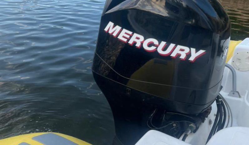 
								DINGHY CARIBE 17 full									