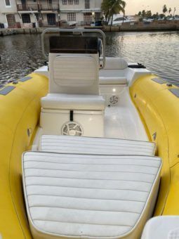 
										DINGHY CARIBE 17 full									