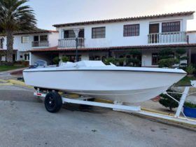 COBIA 19