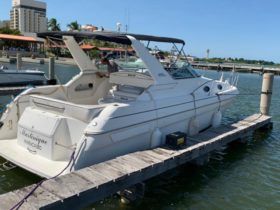 WELLCRAFT MARTINIQUE 32