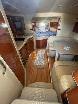 
										SEA RAY AMBERJACK 34 full									