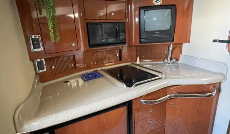 
								SEA RAY AMBERJACK 34 full									