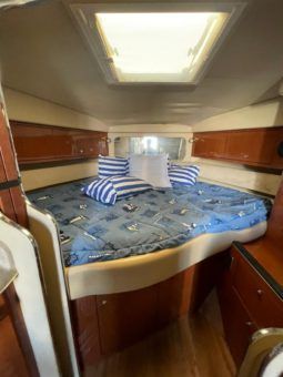 
										SEA RAY AMBERJACK 34 full									