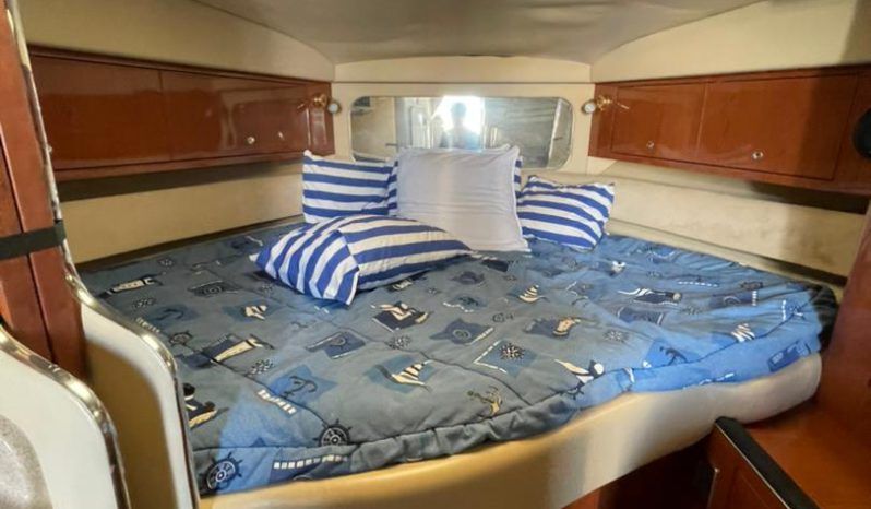 
								SEA RAY AMBERJACK 34 full									