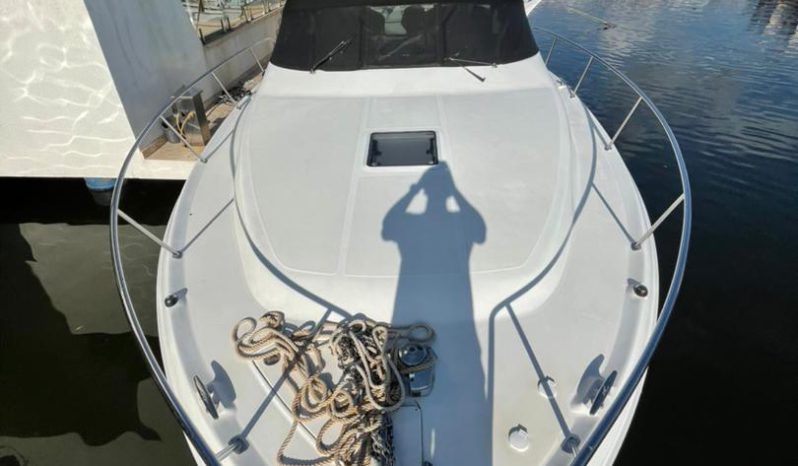 
								SEA RAY AMBERJACK 34 full									