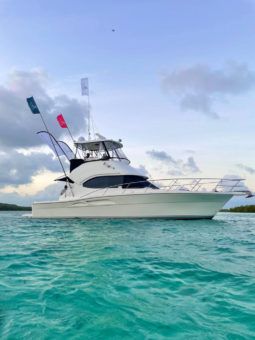 
										RIVIERA 37 full									