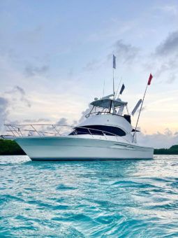 
										RIVIERA 37 full									