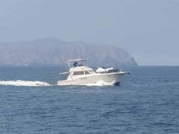 HATTERAS CONVERTIBLE 42 full