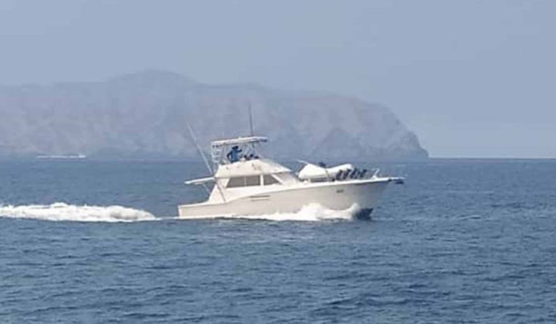 HATTERAS CONVERTIBLE 42 full
