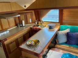 LUHRS CONVERTIBLE 41 full