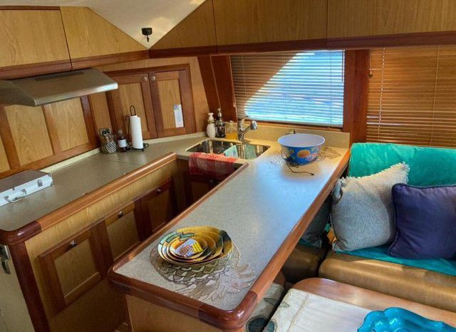 LUHRS CONVERTIBLE 41 full