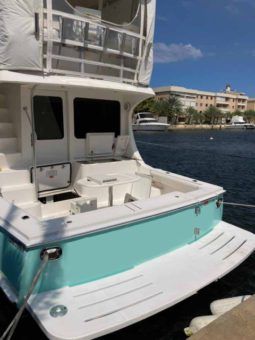 LUHRS CONVERTIBLE 41 full