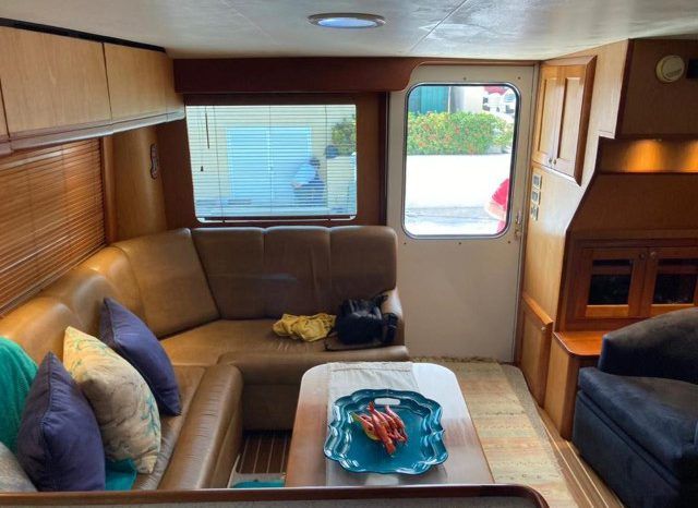 LUHRS CONVERTIBLE 41 full