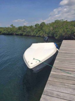 
										INTERMARINE BABY AVANTI 25 full									