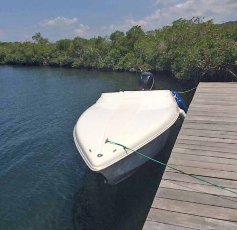 
								INTERMARINE BABY AVANTI 25 full									