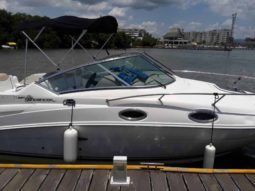 
										SEA RAY SUNDANCER 24 full									