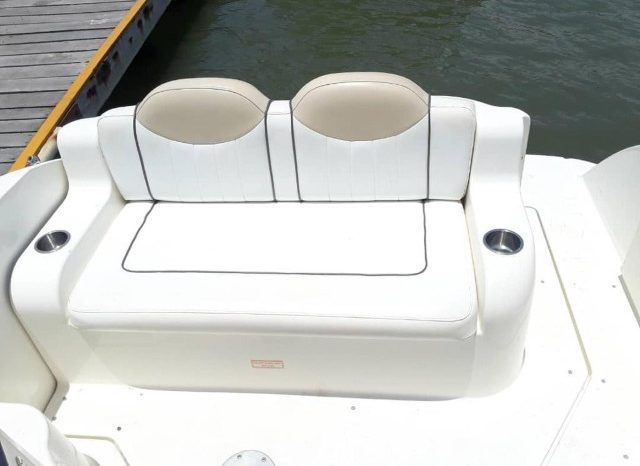 
								SEA RAY SUNDANCER 24 full									