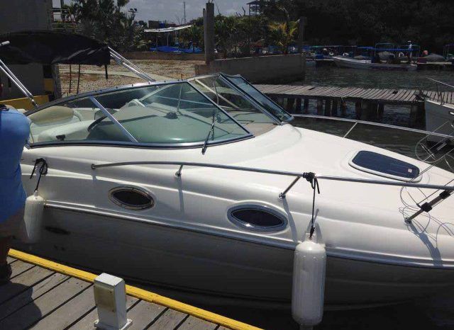 
								SEA RAY SUNDANCER 24 full									