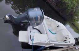 BLACK JACK SPORT 21 full