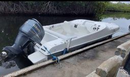 BLACK JACK SPORT 21 full