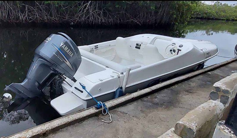 BLACK JACK SPORT 21 full