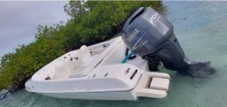 BLACK JACK SPORT 21 full