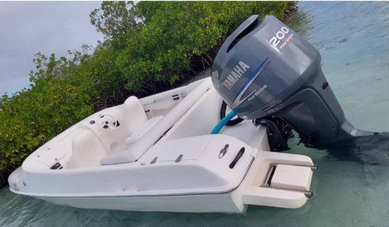 BLACK JACK SPORT 21 full