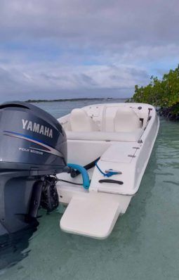 BLACK JACK SPORT 21 full