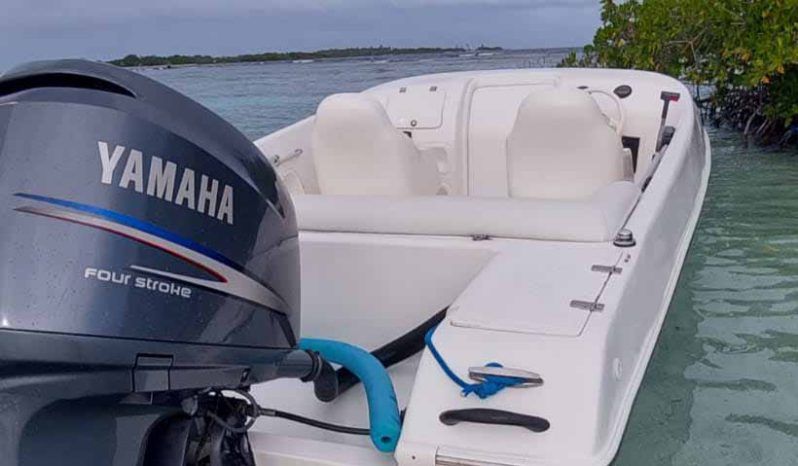 BLACK JACK SPORT 21 full