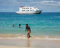 
										BARCO TURISTICO 100 full									