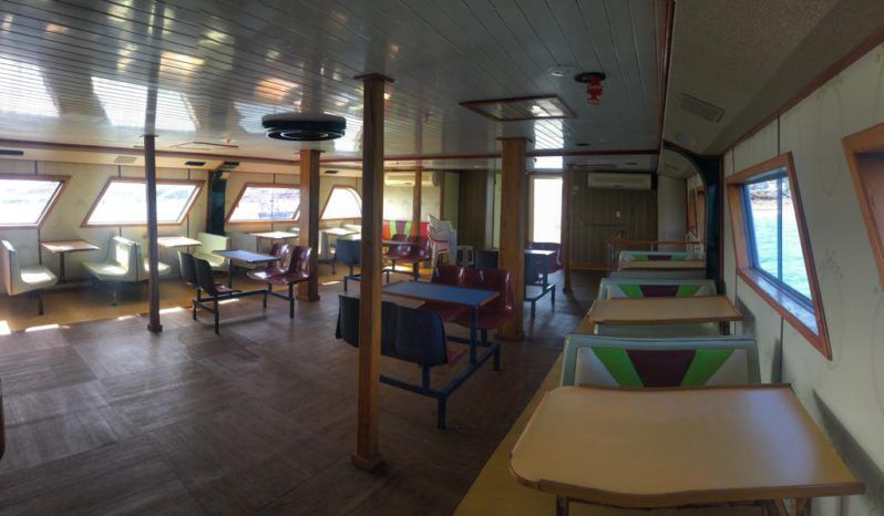 
								BARCO TURISTICO 100 full									