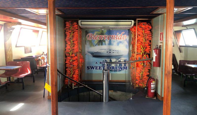 
								BARCO TURISTICO 100 full									