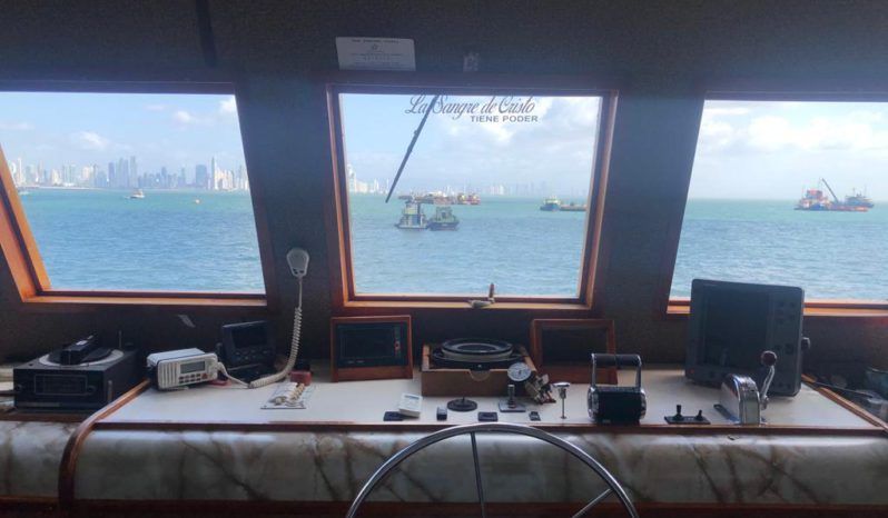 
								BARCO TURISTICO 100 full									