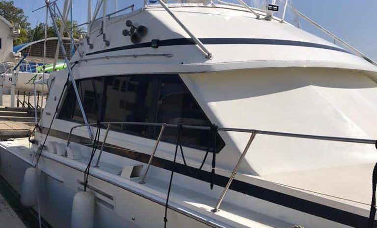 
								BERTRAM SPORT FISHERMAN 54 full									