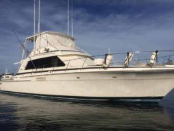 
										BERTRAM SPORT FISHERMAN 54 full									