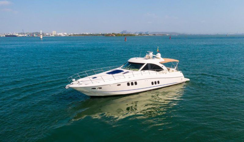 
								SEA RAY SUNDANCER 62 full									
